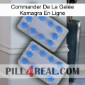 Commander De La Gelée Kamagra En Ligne 20